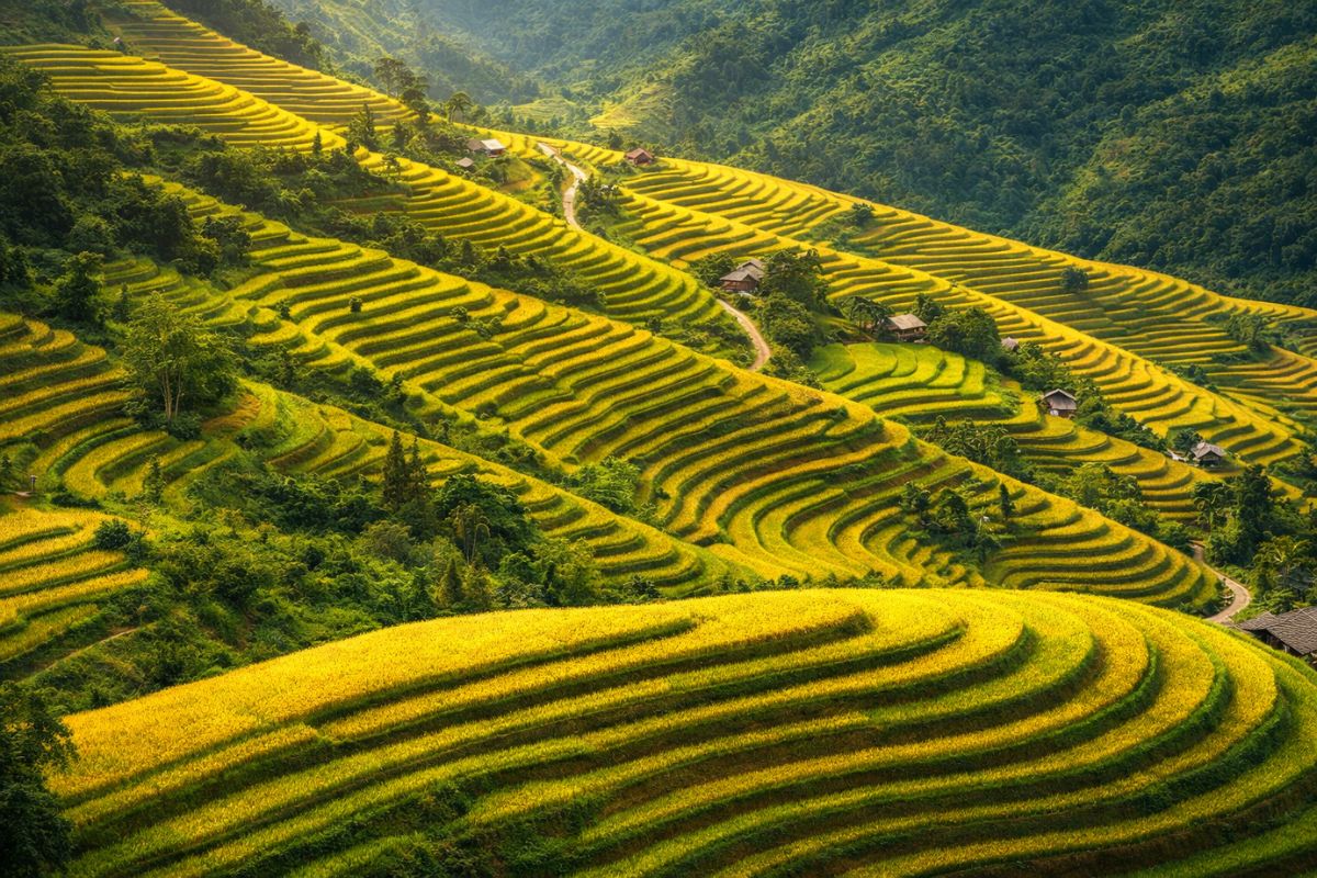 Ha Giang mountains and rice terraces in autumn